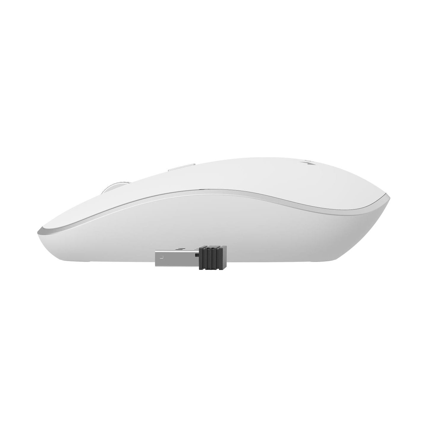 Gembird | MUSW-4B-01-W | Standard | White