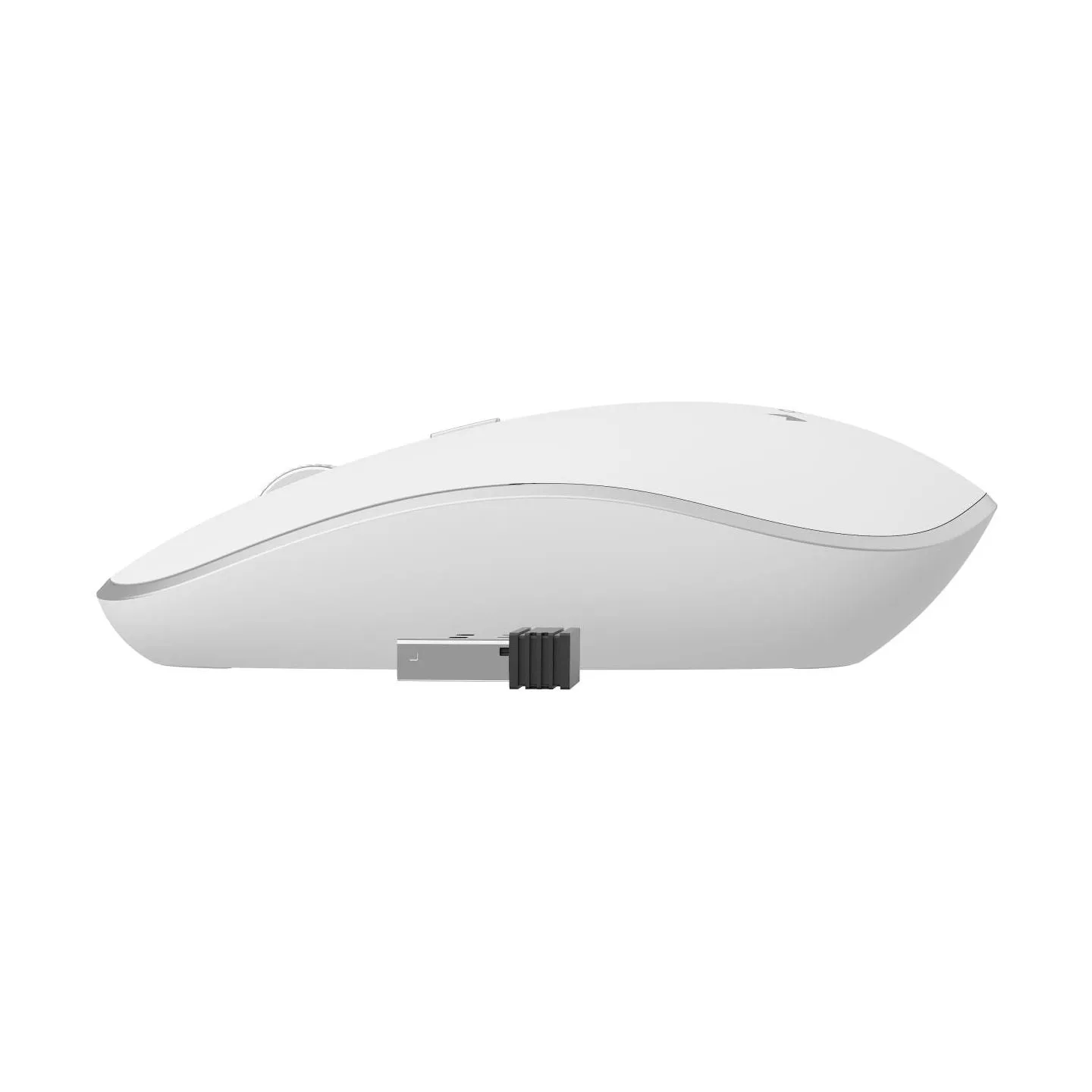 Gembird | MUSW-4B-01-W | Standard | White
