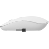Gembird | MUSW-4B-01-W | Standard | White