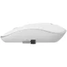 Gembird | MUSW-4B-01-W | Standard | White