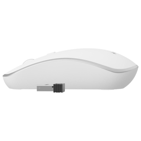 Gembird | Wireless Optical mouse | MUSW-4B-05 | Optical mouse | USB | White