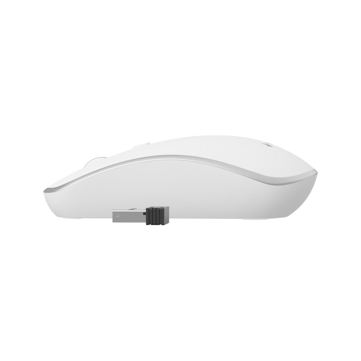 Gembird | Wireless Optical mouse | MUSW-4B-05 | Optical mouse | USB | White