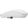 Gembird | Wireless Optical mouse | MUSW-4B-05 | Optical mouse | USB | White