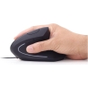 Gembird MOUSE USB OPTICAL BLACK/ERGONOMIC MUS-ERGO-01 GEMBIRD