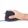 Gembird MOUSE USB OPTICAL SPACEGREY/ERGONOMIC MUS-ERGO-03 GEMBIRD