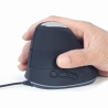 Gembird MOUSE USB OPTICAL SPACEGREY/ERGONOMIC MUS-ERGO-03 GEMBIRD