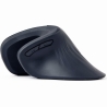 Gembird MOUSE USB OPTICAL WRL BLACK/ERGONOMIC MUSW-ERGO-03 GEMBIRD