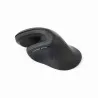 Gembird MOUSE USB OPTICAL WRL BLACK/ERGONOMIC MUSW-ERGO-03 GEMBIRD