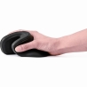 Gembird MOUSE USB OPTICAL WRL BLACK/ERGONOMIC MUSW-ERGO-03 GEMBIRD