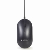 Gembird KEYBOARD +MOUSE USB ENG/KBS-UML-01 GEMBIRD