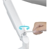 Gembird Desk mounted adjustable arm