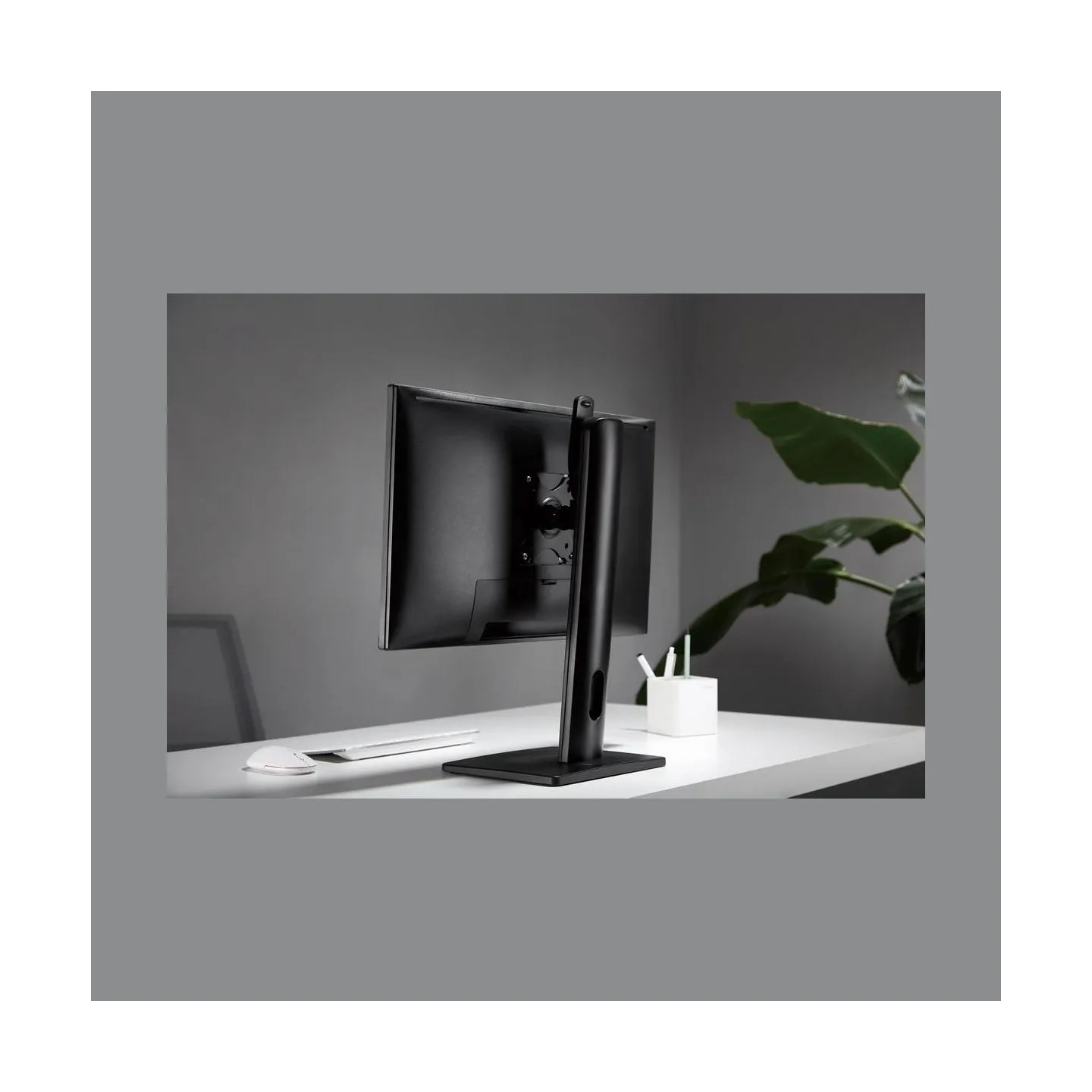 Gembird DISPLAY ACC ADJUSTABLE STAND/MS-D1-01 GEMBIRD