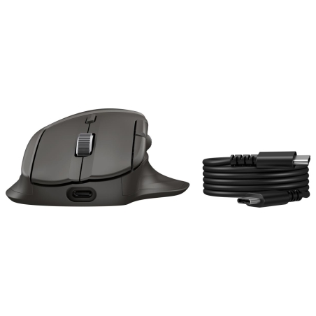 HP Ultra-Fast Scroll Wireless Mouse 785M