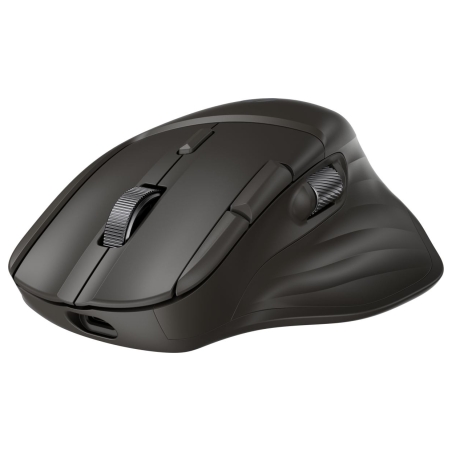 HP Ultra-Fast Scroll Wireless Mouse 785M