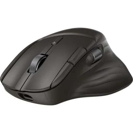 HP Ultra-Fast Scroll Wireless Mouse 785M