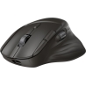 HP Ultra-Fast Scroll Wireless Mouse 785M