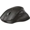 HP Ultra-Fast Scroll Wireless Mouse 785M