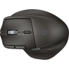 HP Ultra-Fast Scroll Wireless Mouse 785M