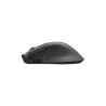 Lenovo Professional Bluetooth Mouse