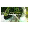LG Monitor 43UL3Q-E 350cd/m2 UHD 16/7