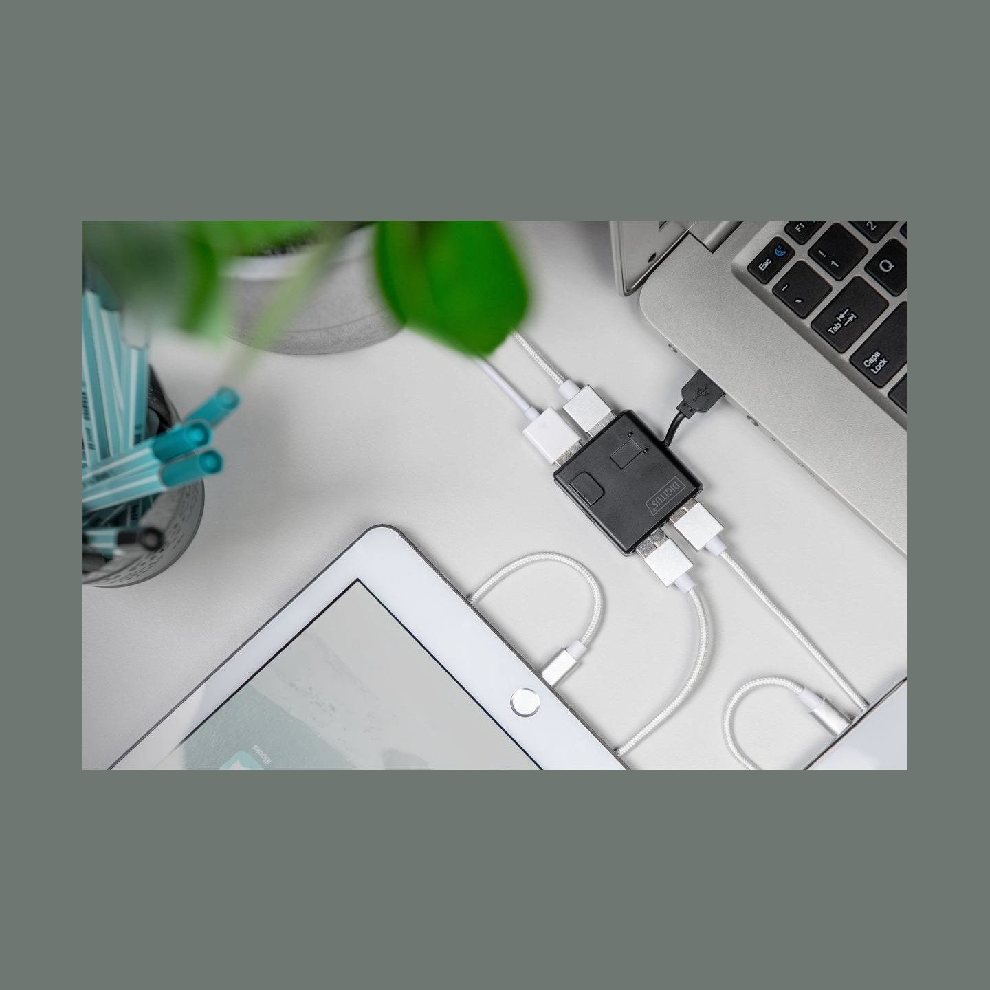 Digitus USB 2.0 Hub, 4-Port | DA-70217