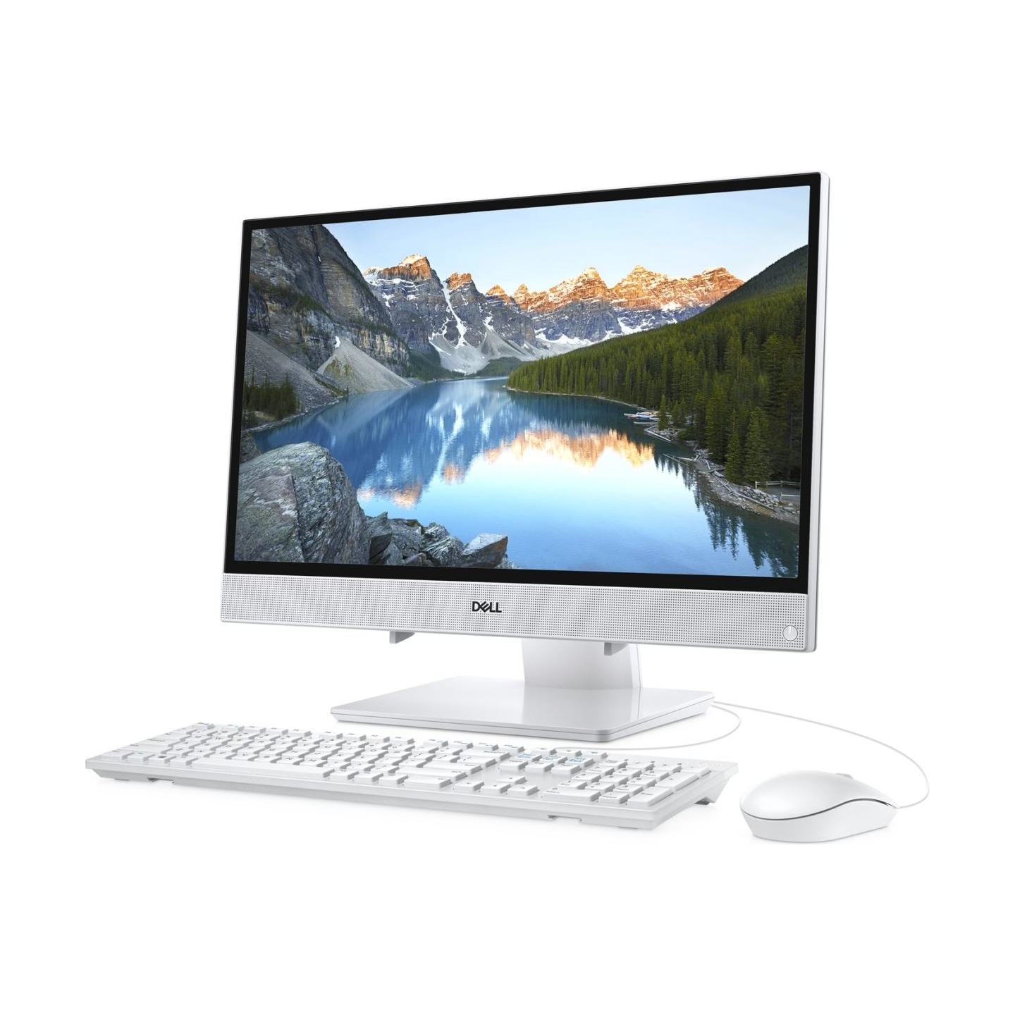 Dell | Optical Mouse | MS116 | wired | White