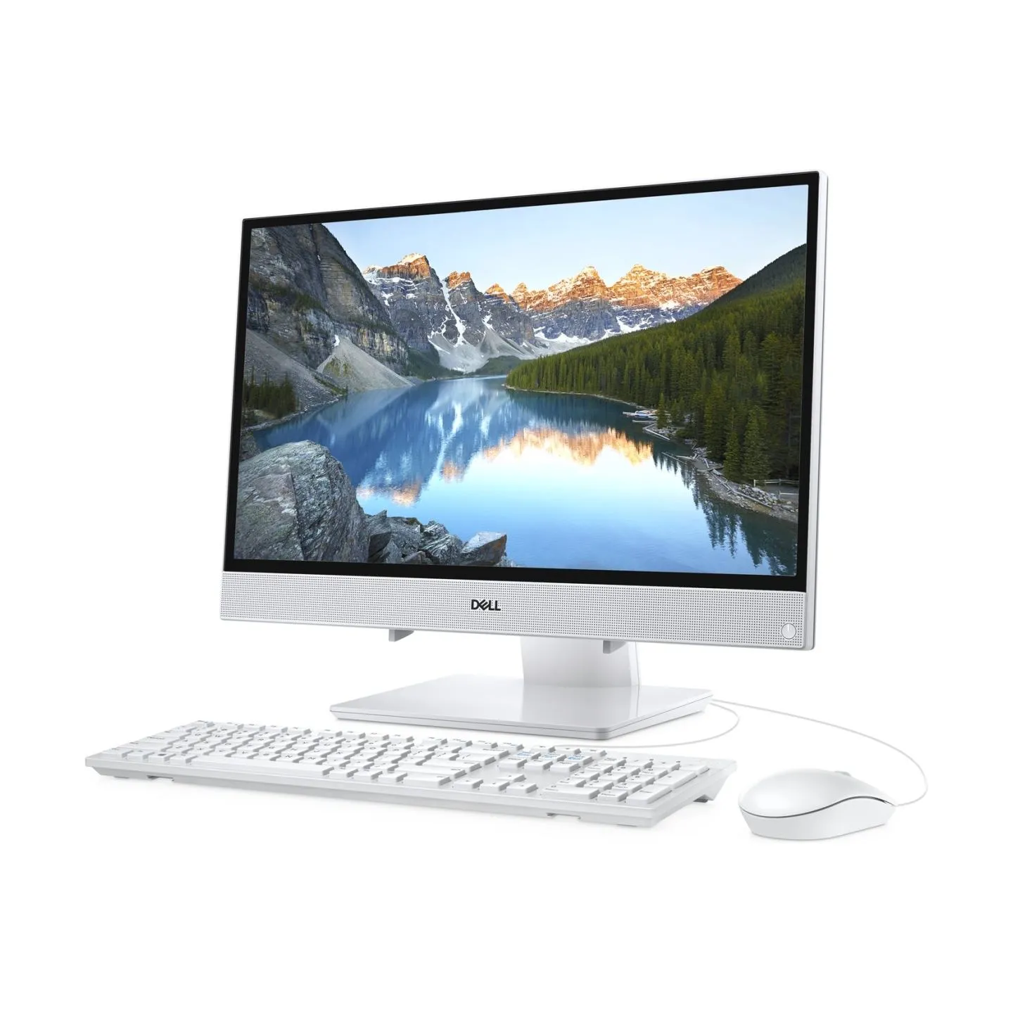 Dell | Optical Mouse | MS116 | wired | White