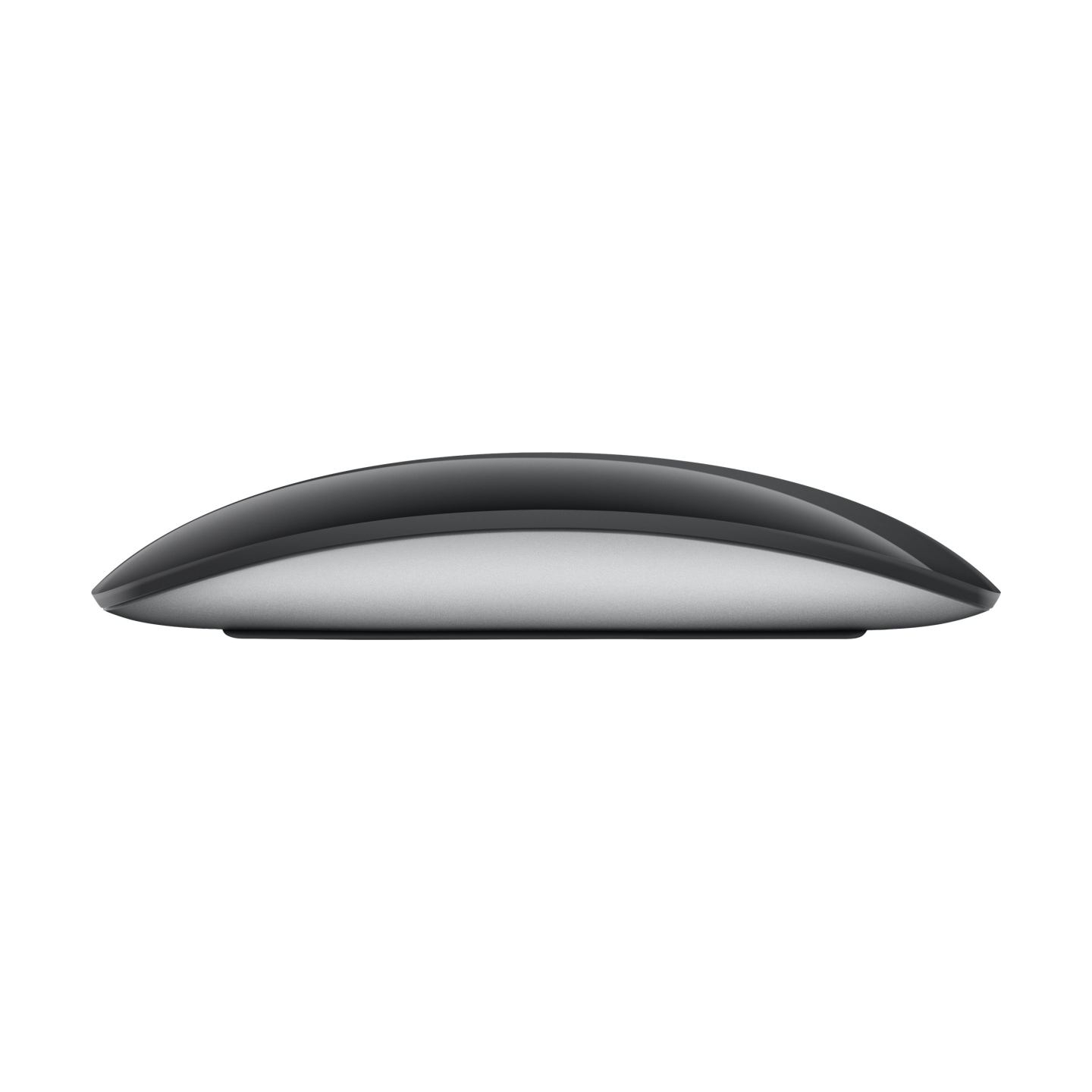 Apple Mouse Magic Mouse black