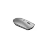 Lenovo | Silent Mouse | 600 | Optical Mouse | Dual-host Bluetooth 5.0 | Iron Grey | 1 year(s)