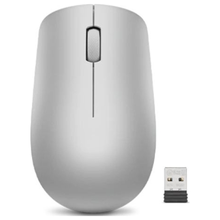 Lenovo | Wireless Mouse | 530 | Optical Mouse | 2.4 GHz Wireless via Nano USB | Platinum Grey | 1 year(s)