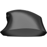 Natec Kite | Wireless | Bluetooth, 2.4GHz | Black