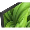 Sony KD32W800P 32" (80 cm) HD Ready Smart Android LED TV | Sony | KD32W800P | 32" (80 cm) | Smart TV | Android | HD | Black