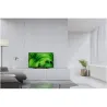 Sony KD32W800P 32" (80 cm) HD Ready Smart Android LED TV | Sony | KD32W800P | 32" (80 cm) | Smart TV | Android | HD | Black