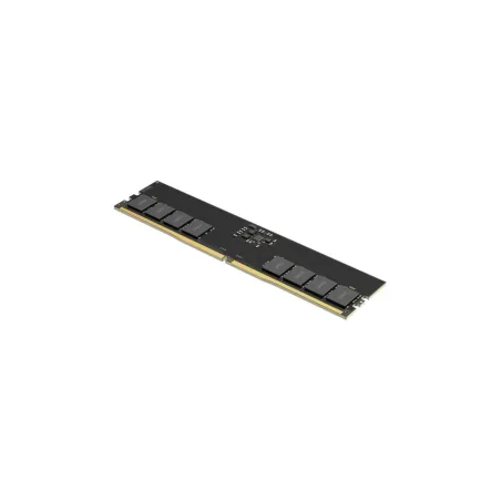 Lexar MEMORY DIMM 32GB DDR5-5600/LD5U32G56C46ST-BGS LEXAR
