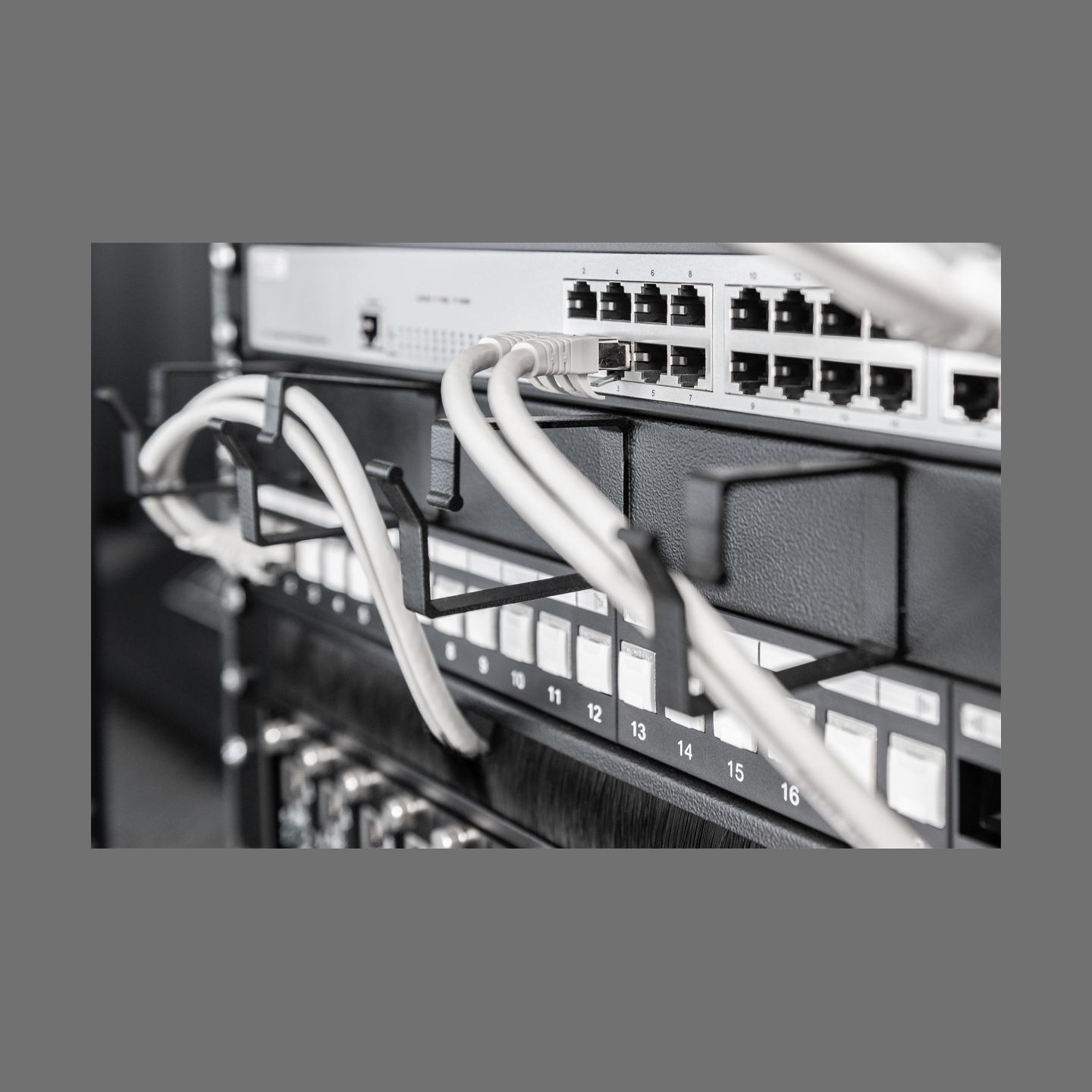 Digitus | Cable Management Panel | DN-97602 | 5x cable management ring (HxD: 40x60 mm). The Cable Management Panel is getting fi