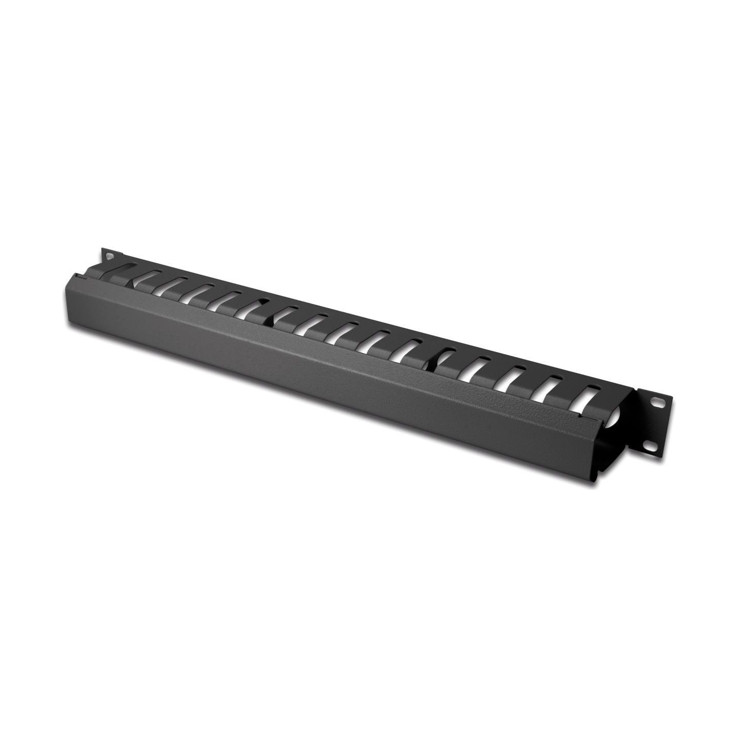 Digitus | 1U cable management cage detachable rear plate | DN-97617 | For installation on the 483 mm (19“) profile rails | Black