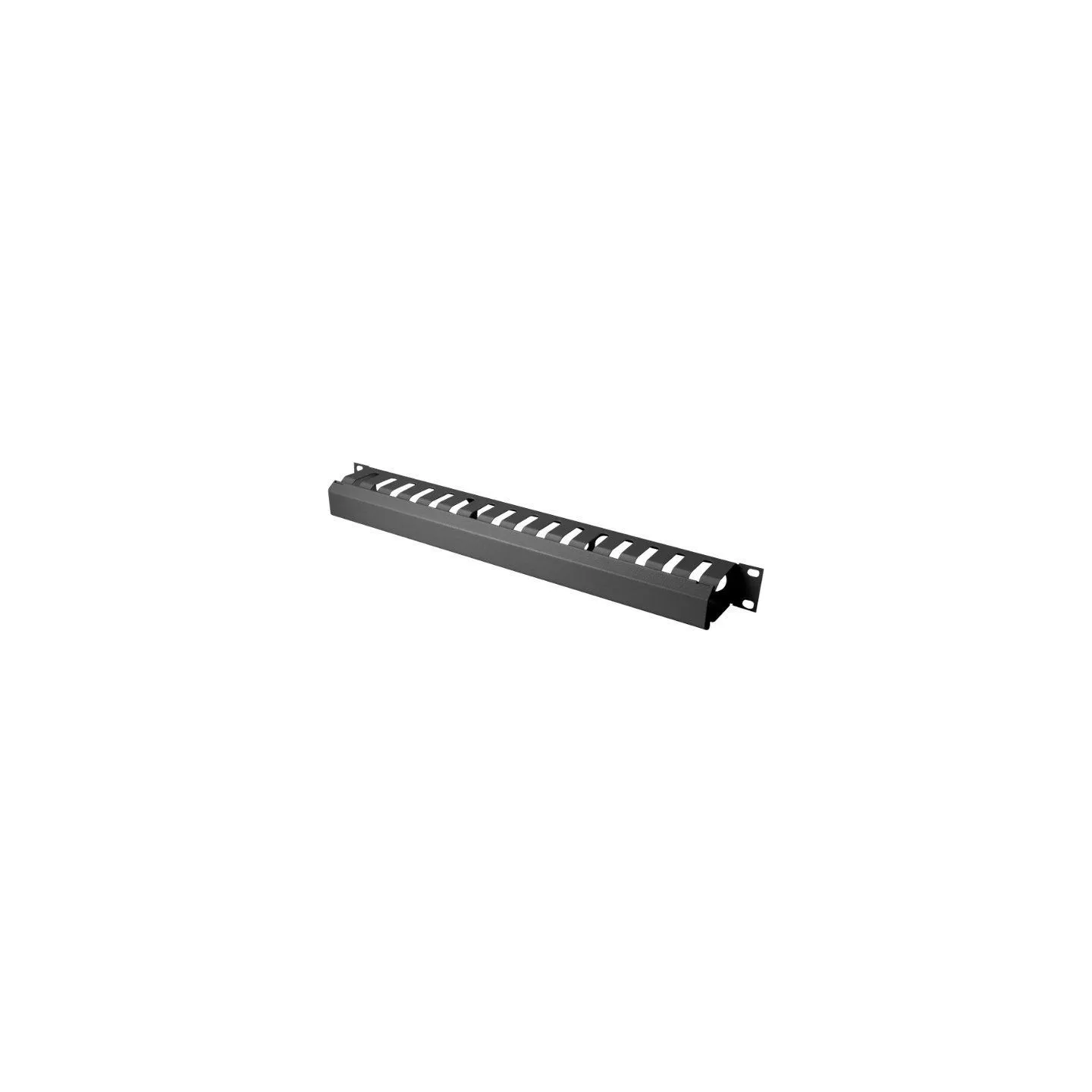 Digitus | 1U cable management cage detachable rear plate | DN-97617 | For installation on the 483 mm (19“) profile rails | Black