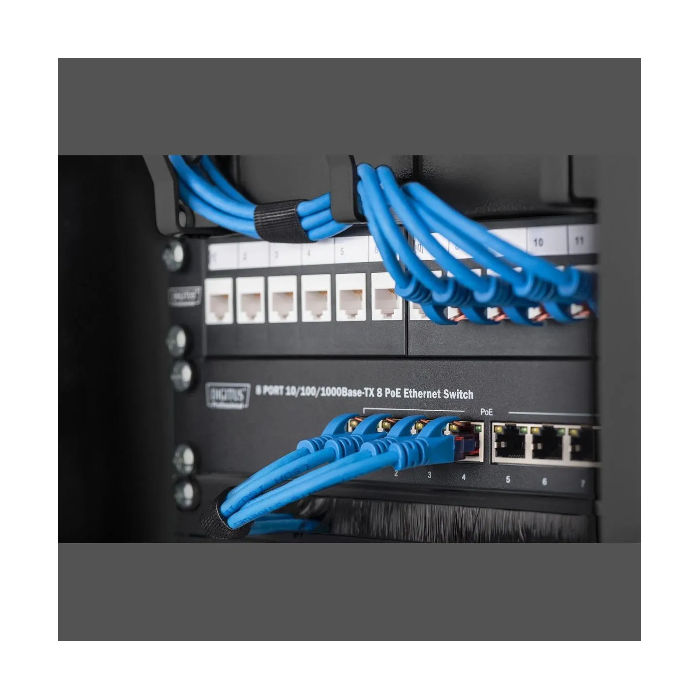 Digitus | Wall-mounted housing 254 mm (10") - 312 x 300 mm | DN-10-09U-B