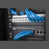 Digitus | Wall-mounted housing 254 mm (10") - 312 x 300 mm | DN-10-09U-B