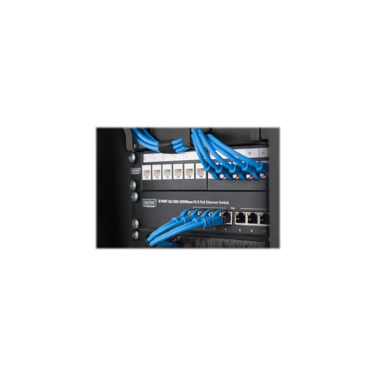 Digitus | Wall-mounted housing 254 mm (10") - 312 x 300 mm | DN-10-09U-B