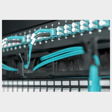 Digitus Cable Management Panel with Brush Entries for 483 mm (19") Cabinets, 1U | DN-97663