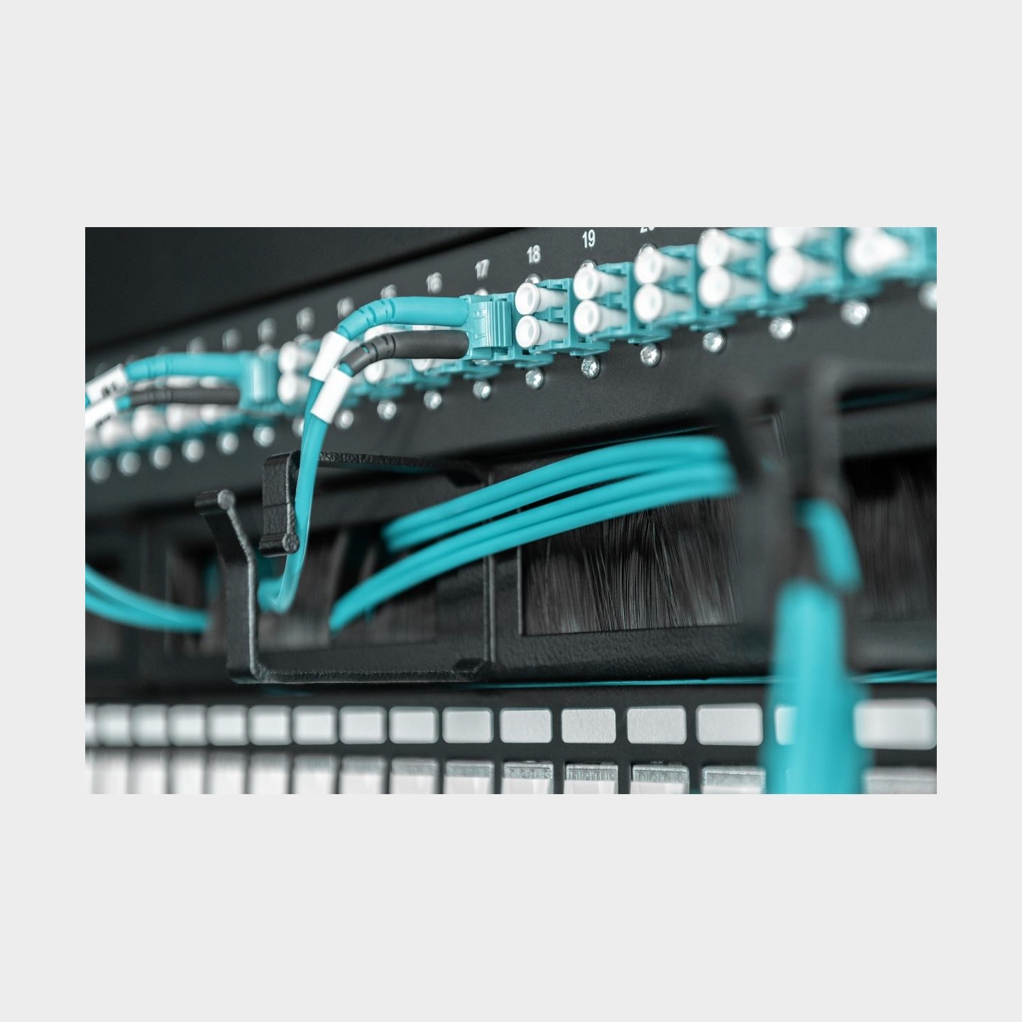 Digitus Cable Management Panel with Brush Entries for 483 mm (19") Cabinets, 1U | DN-97663