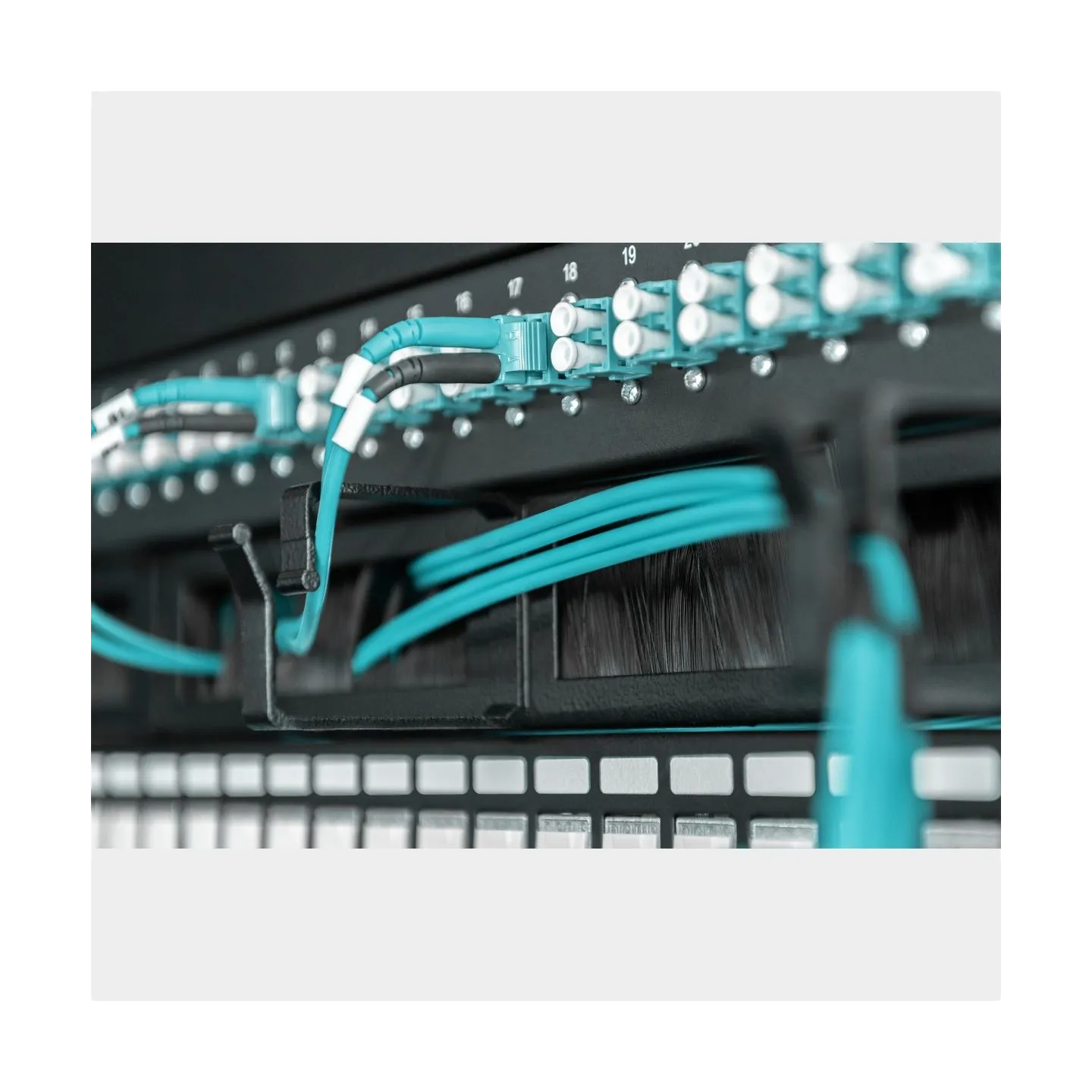 Digitus Cable Management Panel with Brush Entries for 483 mm (19") Cabinets, 1U | DN-97663