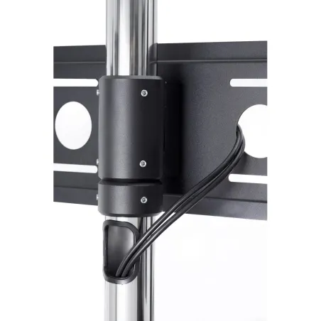 Edbak | STD01c-B | Trolleys & Stands | 40-75 " | Maximum weight (capacity) 80 kg | Black