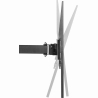 Gembird | Wall mount | WM-55ST-03 | Tilt, Swivel | 32-55 " | Black