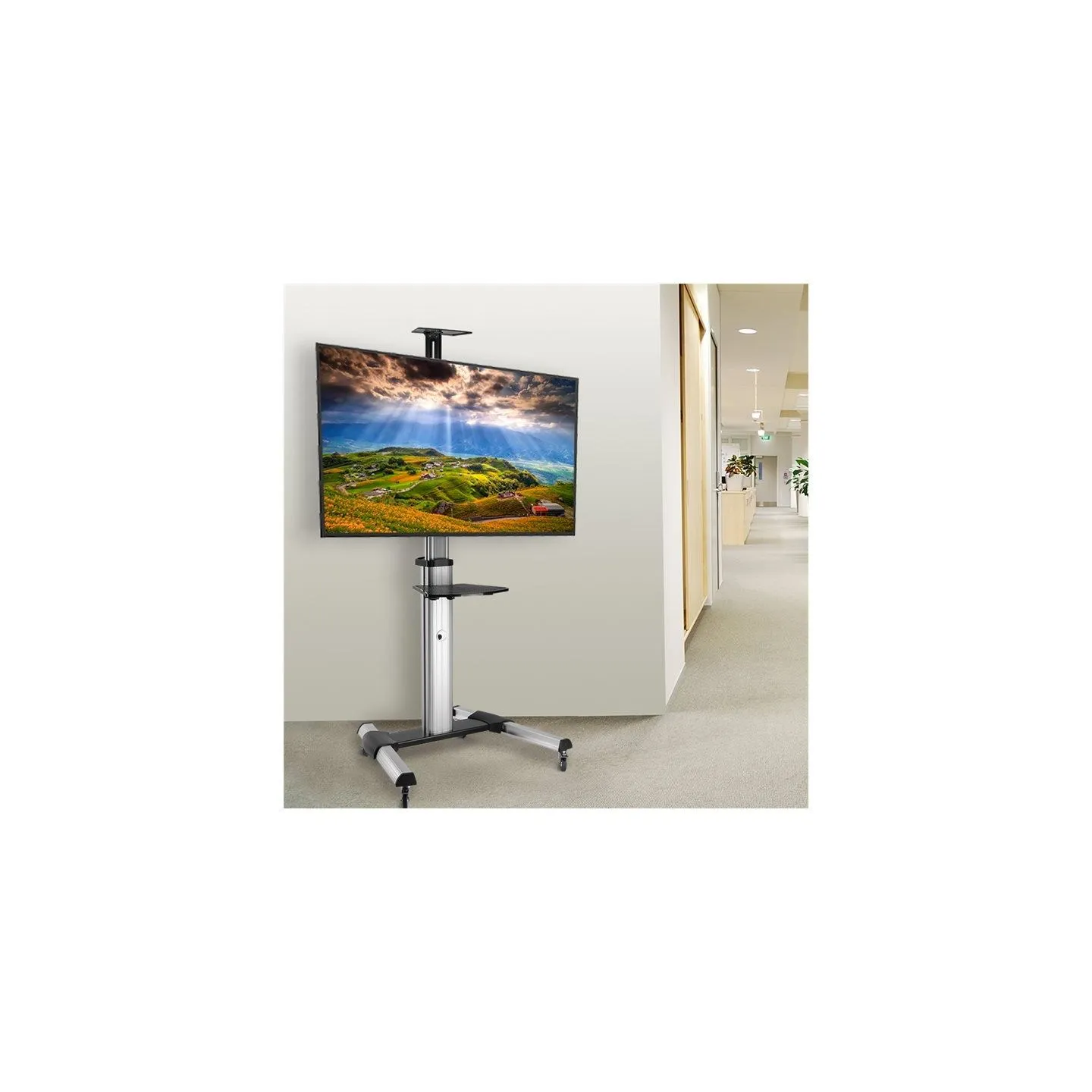 Logilink TV cart, 37-70 39; VESA, 50kg. max