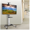 Logilink TV cart, 37-70 39; VESA, 50kg. max