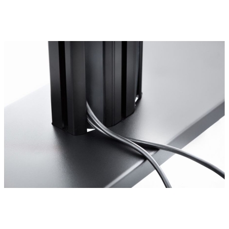 Edbak Monitor stand TRE100 LFD