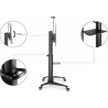 Digitus | Other | 70-120 " | Maximum weight (capacity) 140 kg | Black