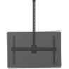 Neomounts FLAT SCREEN CEILING MOUNT (HEIGHT: 250-300 CM) BLACK